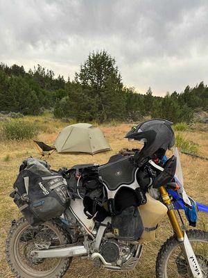 IMG_9865.jpg