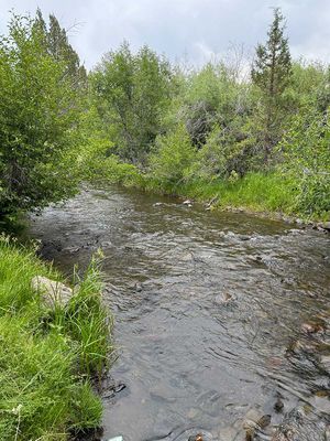 IMG_9867.jpg