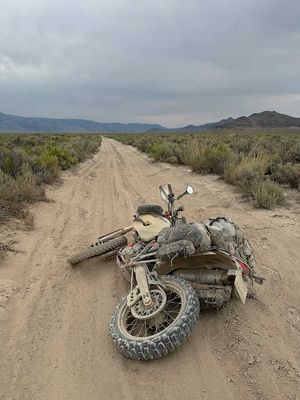 IMG_9928.jpg