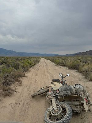 IMG_9930.jpg