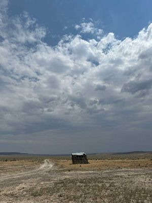 IMG_9948.jpg