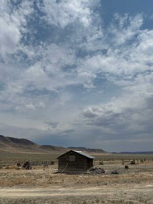 IMG_9949.jpg