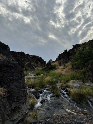 IMG_9956.jpg