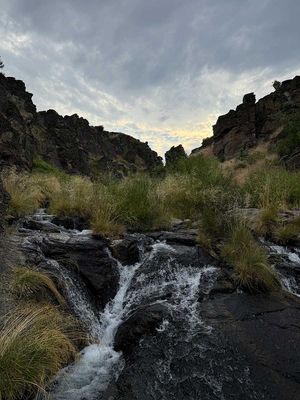 IMG_9966.jpg