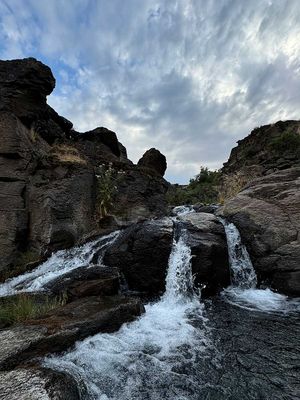 IMG_9987.jpg