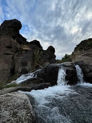 IMG_9988.jpg