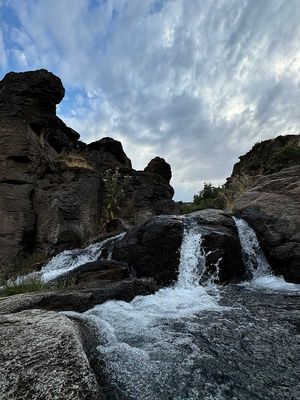 IMG_9989.jpg