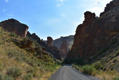 DSC_5333.jpg