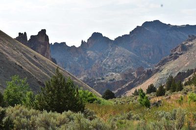 DSC_5338.jpg