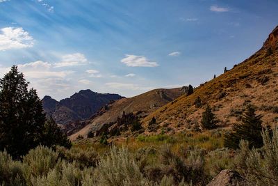 IMG_0050.jpg