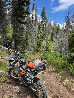 IMG_9151.jpg