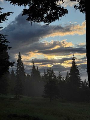 IMG_9246.jpg