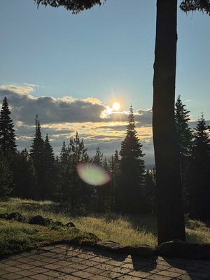 IMG_9250.jpg