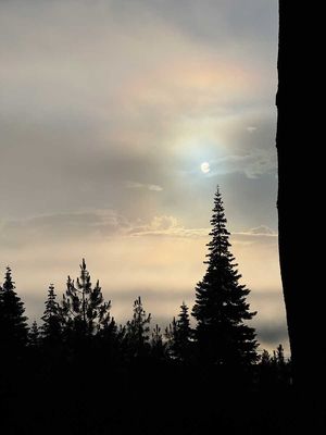 IMG_9251.jpg