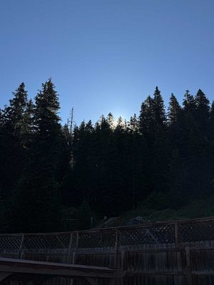 IMG_9323.jpg