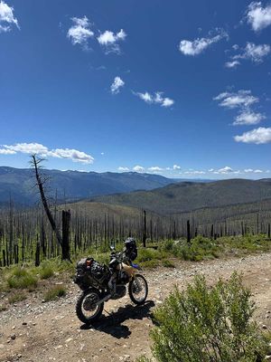 IMG_9337.jpg