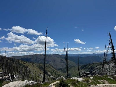 IMG_9352.jpg
