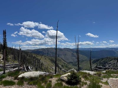 IMG_9355.jpg