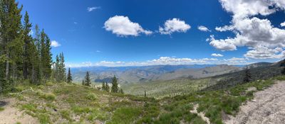 IMG_9359.jpg