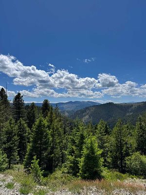 IMG_9395.jpg