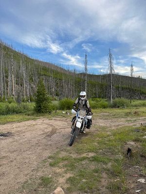 IMG_9454.jpg