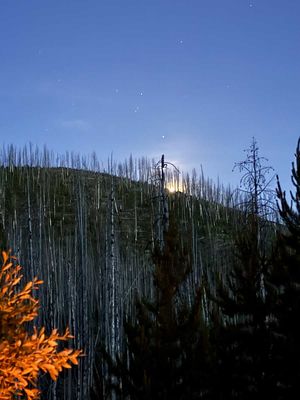 IMG_9473.jpg