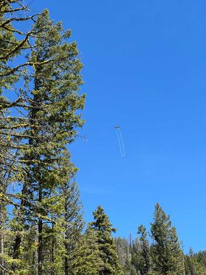 IMG_0216.jpg