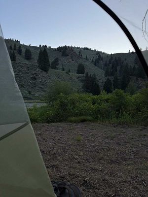 IMG_9558.jpg