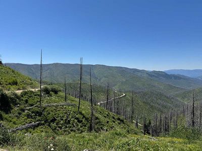 IMG_9617.jpg