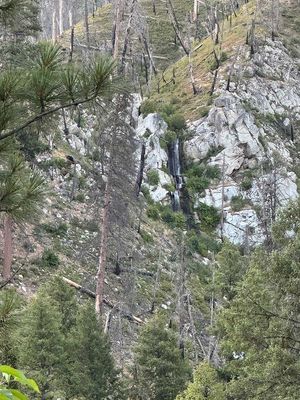 IMG_9695.jpg
