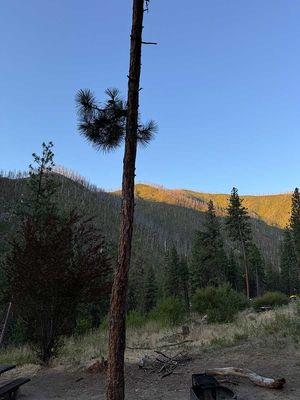 IMG_9716.jpg