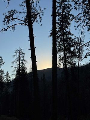 IMG_9717.jpg