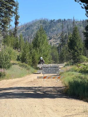 IMG_9742.jpg