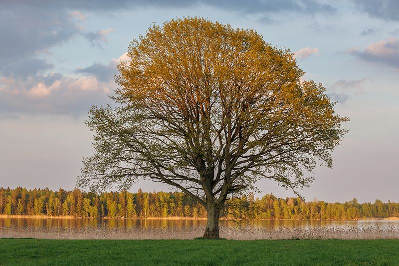118