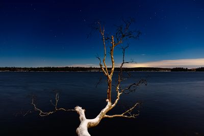 g13/93/1973093/3/175170493.2f5a737a.JPEG