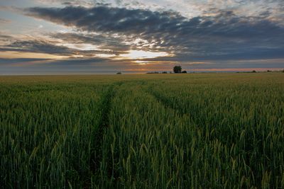Öland II