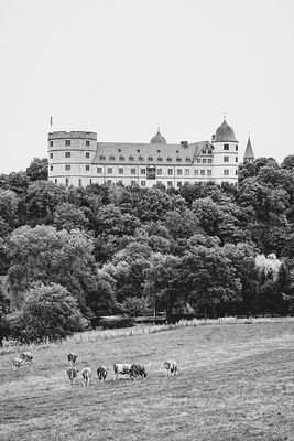 Wewelsburg