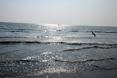 g13/93/329493/3/173344088.71e22b0b.JPEG
