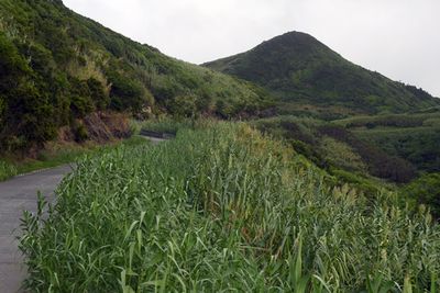 g13/93/329493/3/173371541.d07c3647.JPEG
