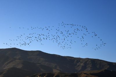 Karabakh Nov23 0953.jpg