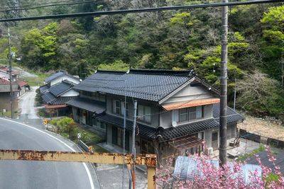 g13/93/329493/3/174182617.95bfe88a.JPEG