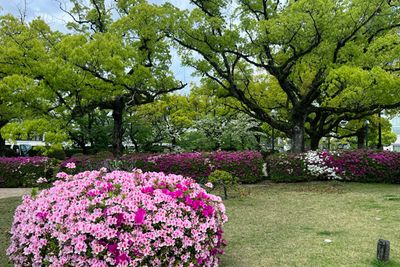 g13/93/329493/3/174184535.820f3bd2.JPEG