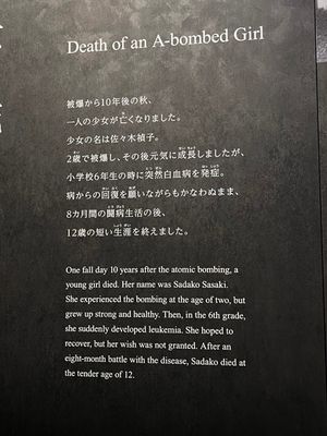 g13/93/329493/3/174185044.613fa3a5.JPEG