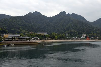 Miyajima Apr23 010.jpg