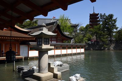 Miyajima Apr23 171.jpg