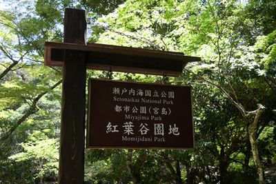 g13/93/329493/3/174189577.e023d1ac.JPEG