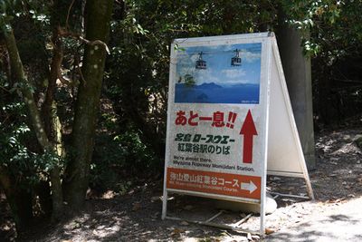 g13/93/329493/3/174189578.744ef837.JPEG