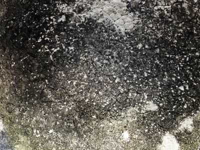 g13/93/329493/3/174532560.af7527c6.JPEG