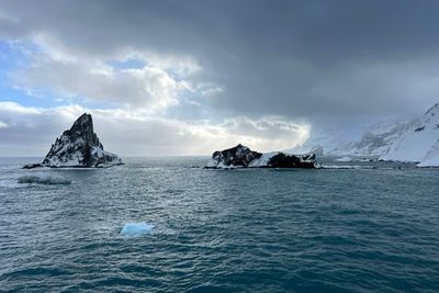 Antarctic Nov24 023.jpg
