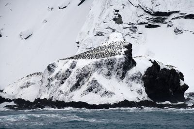 Antarctica Nov24 014.jpg